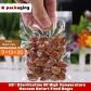 100 pcs High Quality Retort Food Bags 130 Degree High Temperature Vacuum Cooking Packaging